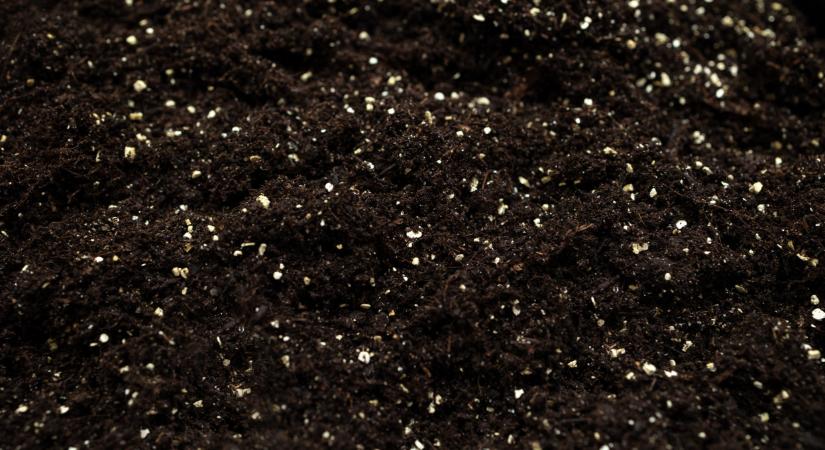Csodaszer a kertbe: sokan már ezt használják a drága talajjavítók helyett