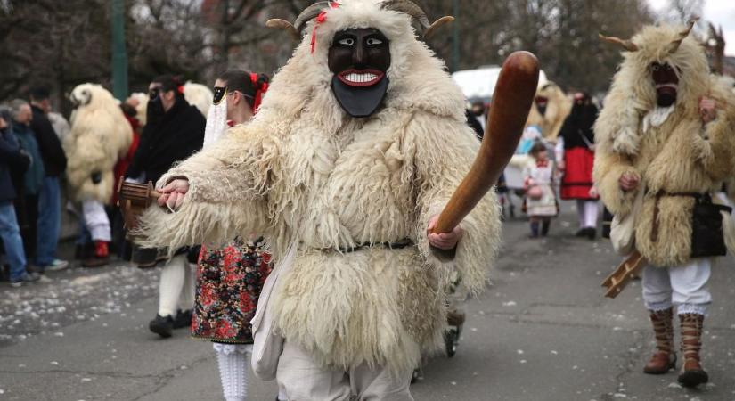Kínai oroszlánok, tüzes busók és újszülött csikók – elképesztő programkavalkád robbantja be a hétvégét Hajdú-Biharban