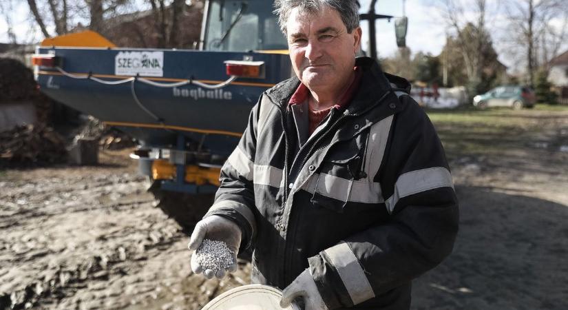 Mezőgazdasági helyzetkép: jó állapotban a vetések Győr-Moson-Sopronban