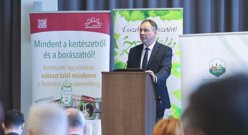 Történelmi pénzek és AI a fóliasátrakban – ezt hozta a szegedi Zsendülés
