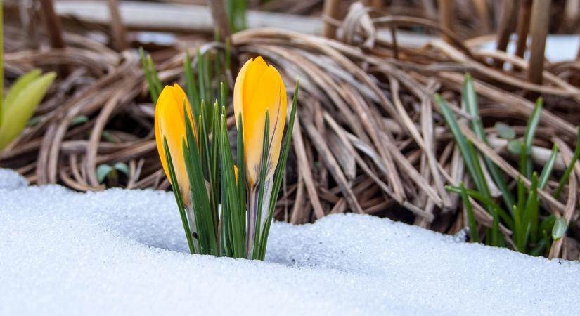 Időjárás: Hajnali fagyok fenyegetik a határt, ne érjen váratlanul VIDEÓ
