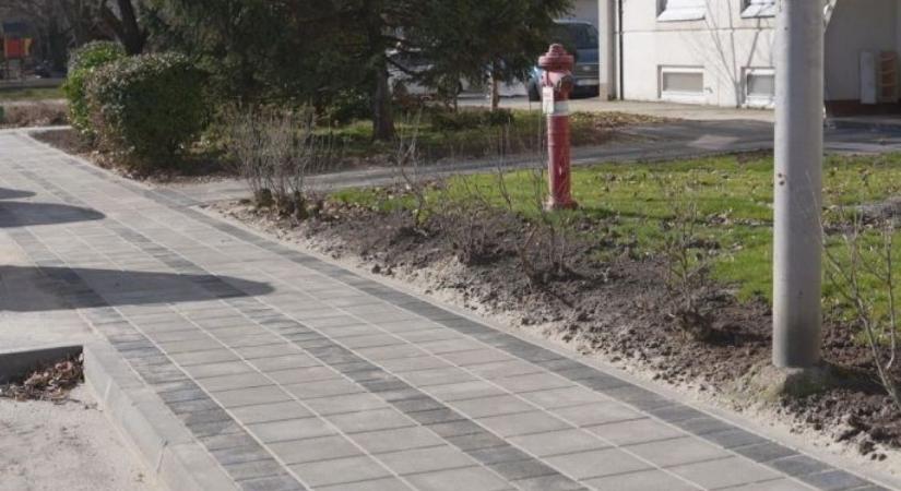 Elkészült a felújítás a Tölgyfa utcában