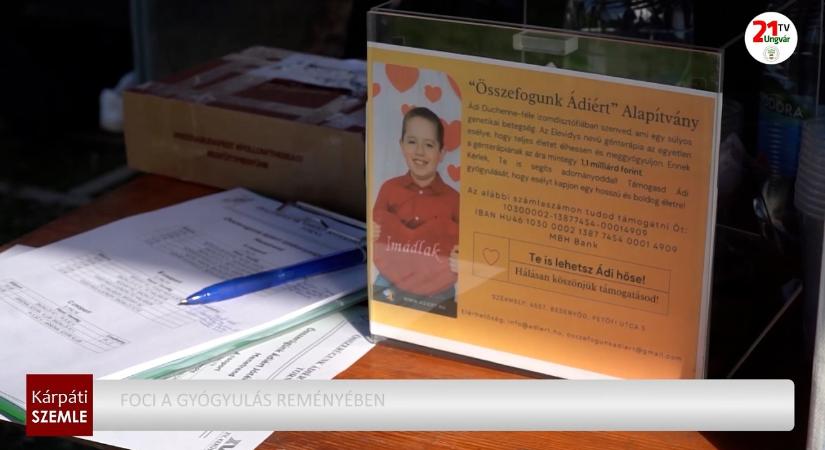 Foci a gyógyulás reményében (videó)