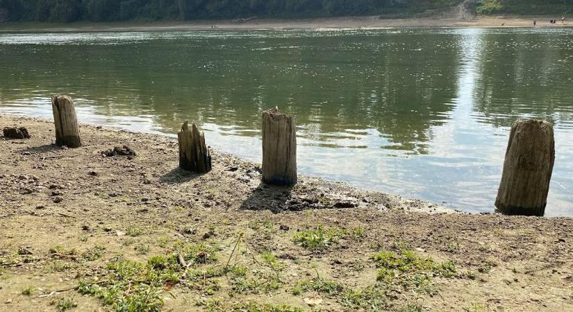 Oszlopmaradványok bukkantak elő a Tiszából, szolnoki régészek fejtették meg az évszázados titkot