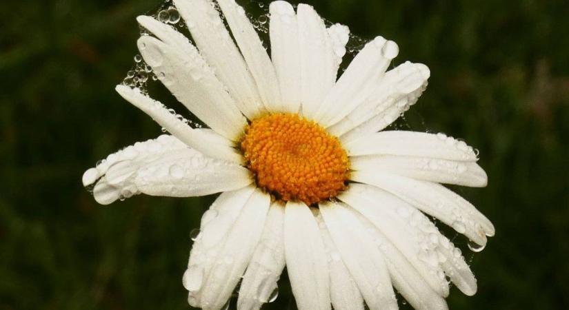 A rossz időnek vége – a tavasz közeledtével mosolygósabb napok várnak