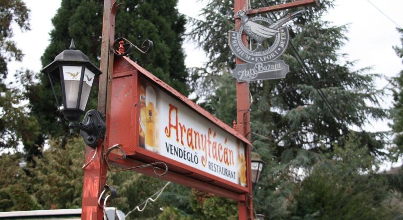 45 éve a Lővérekben - az Aranyfácán családi vendéglőben jártunk