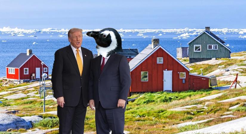 Békesarc - Józsa Márta jegyzete