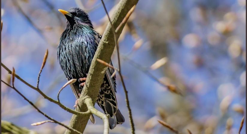 Tiszta, napos idővel indul a hétvége