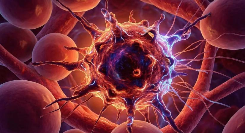 Sokkoló mondat hangzott el a rákról – ez mindenkit érint