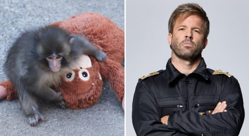 Mindenki elolvad Punchtól, kivéve Sebestyén Balázst: „Nekem ez nem cuki”