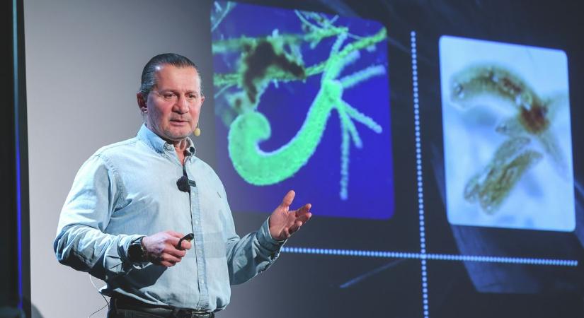 Hogyan élhetünk 100 évig – egészségben? Ifjabb Duda Ernő elárulta nekünk a titkot