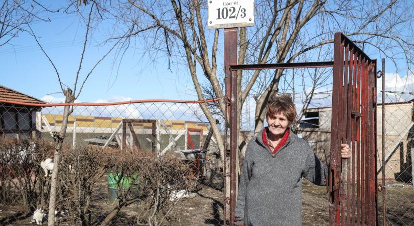 Szolnok határában figyelemfelhívó tábla áll a tanya előtt, amit 50 éve lakója, egy nő épített