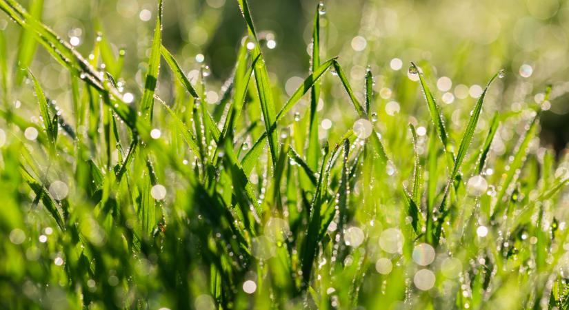 Megjött az előrejelzés: kiderült, milyen idő vár a magyarokra hétvégén