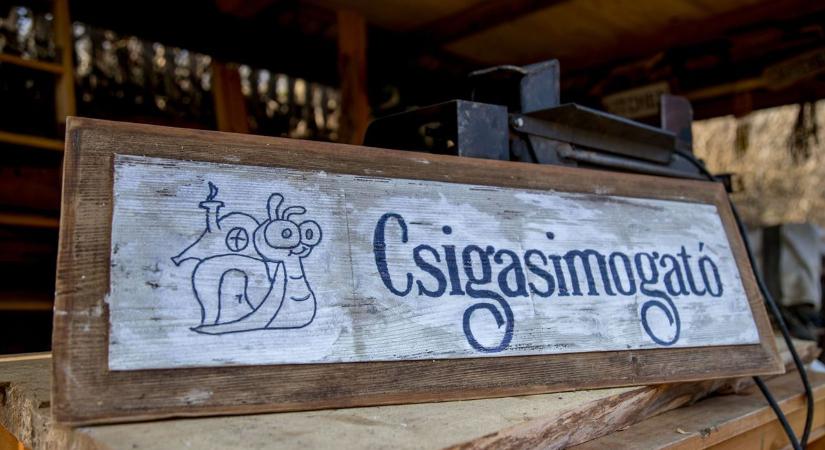 Újra és újra feltámad a borsodi „szellemfalu”, ahol tényleg mindenkit megszólaltattunk – riport Szanticskáról