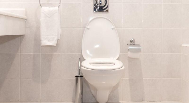 Ezért ülnek a japánok fordítva a WC-re: meglepő az ok, de van benne logika