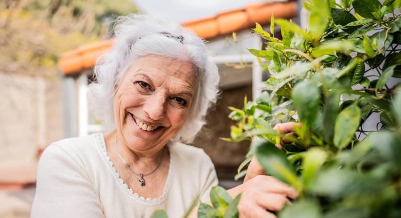 Véd a demencia ellen, csökkenti a stresszt, és fitten tart: elég hozzá kilépni a házból