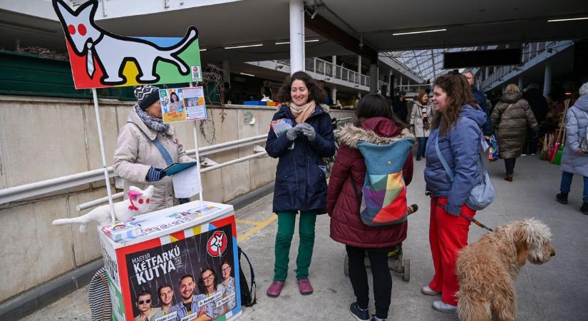Még tart a „verseny”: a Mi Hazánk, a DK és a Kutyapárt küzd az aláírásokért