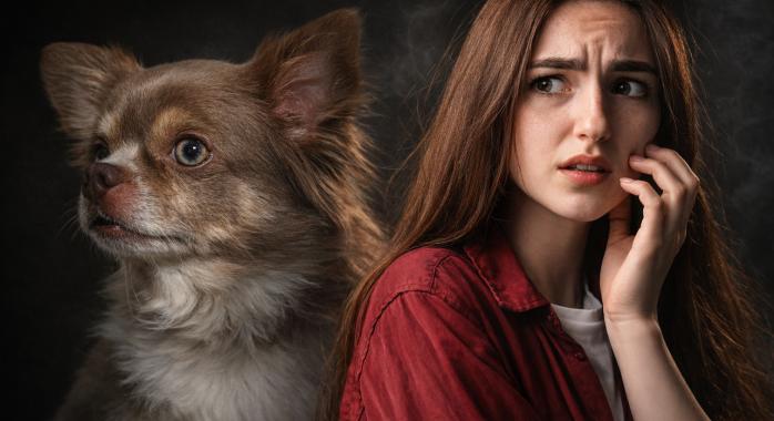 A póráz két vége: Miért a gazdát kellene nevelni, nem az ebet?