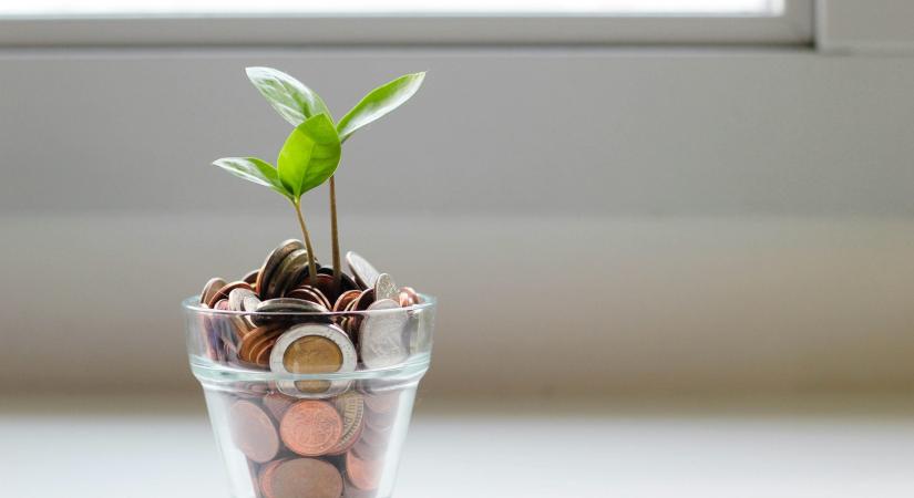 5 csillagjegy, akiknek pénzesőt hoz a tavasz