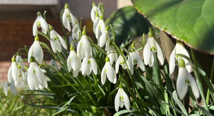 Meglepően enyhe nap jön? Mutatjuk, mit tartogat a mai időjárás Veszprémben