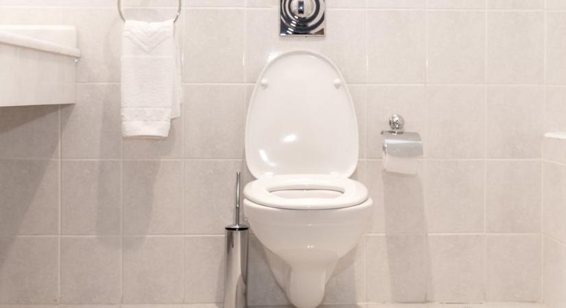 Egyre többen fordítva ülnek rá a vécére – van benne logika