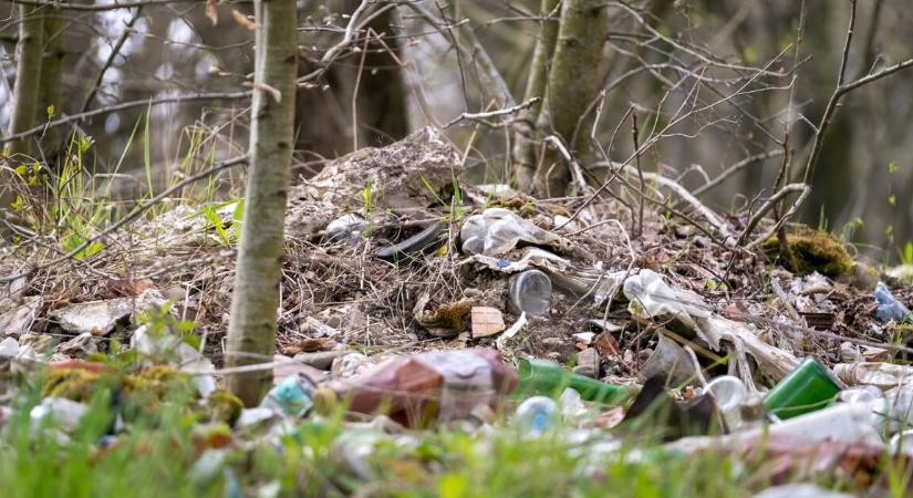 Egy férfi a kutyáját képezte ki arra, hogy illegálisan dobja ki a szemetét