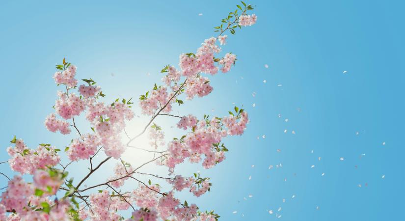 Rákapcsol az időjárás: elképesztő hőmérsékletekkel érkezik a tavasz