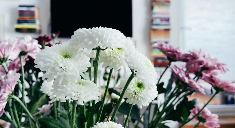 Virágkötő figyelmeztet: a csokrod pár nap alatt tönkremegy, ha ezt a 4 dolgot kihagyod