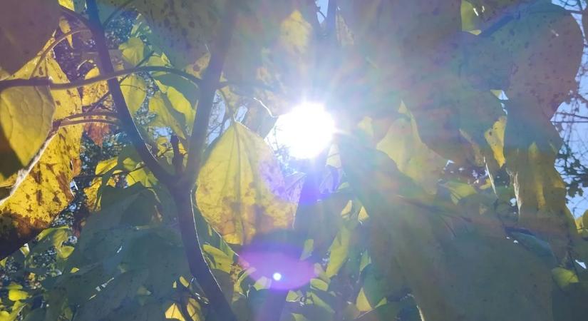 Érkezik a tavasz: a hétvégén már 16 fokot is mérhetünk