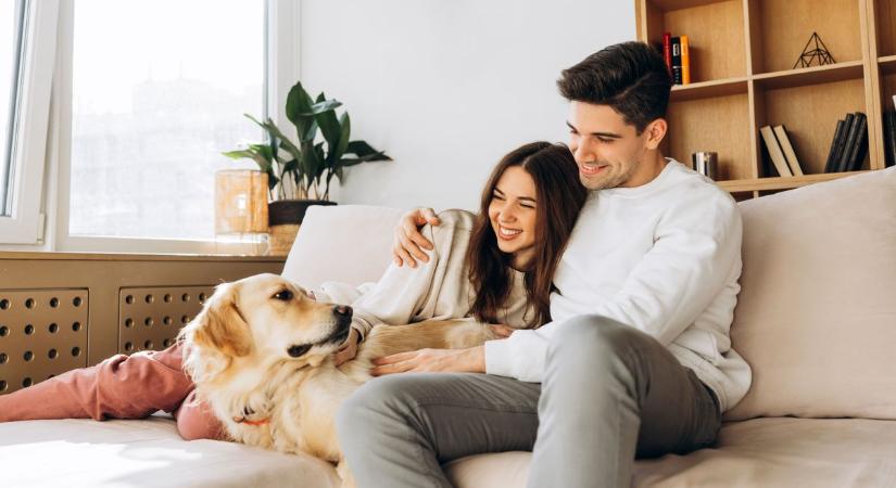 Programok összegyűjtve, itt megleled amit keresel