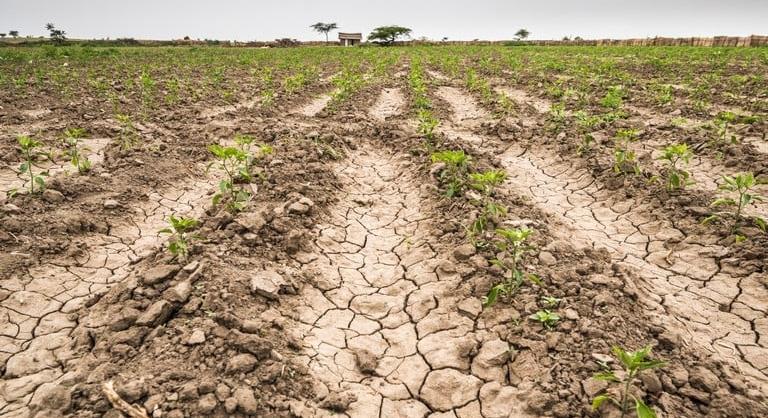 Figyelmeztetést adtak ki a jó idő miatt, szárazság és szikkadás fogja sújtani a talajréteget