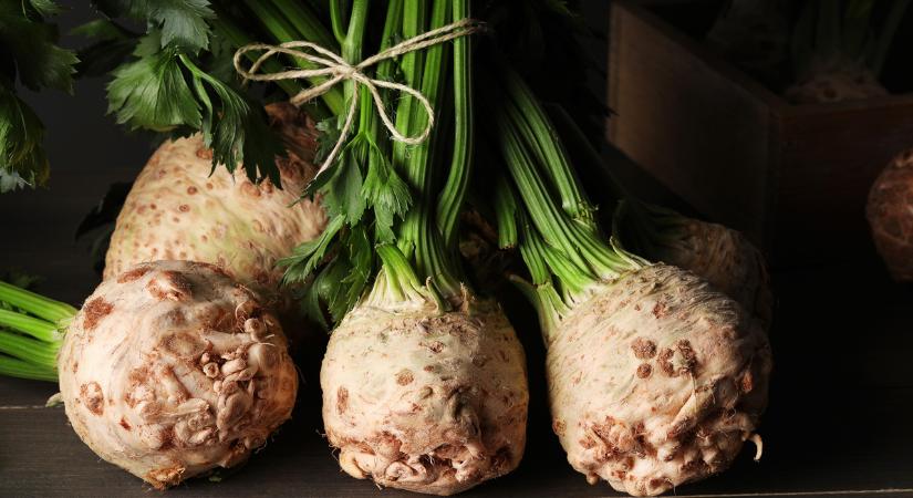 Fontos dologra hívja fel a figyelmet a Nébih a zellergumóval kapcsolatban