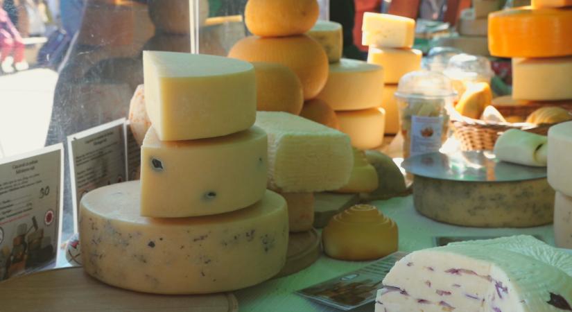 Kárpát-medencei sajtmustrát szerveznek Csíkszeredában