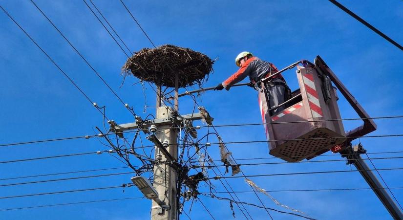 Egy járókelő vette észre, hogy valami nem stimmel a város gólyafészkével