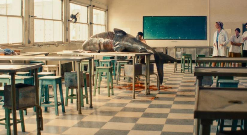 Egy önálló életre kelt láb zaklat homoszexuálisokat a brazilok Oscar-jelölt filmjében