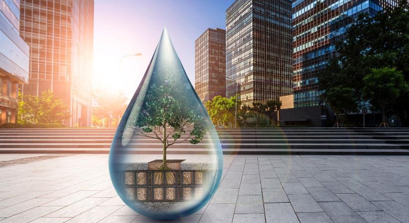 Zöld beruházás országszerte: 100 000 fa ereszthet gyökeret