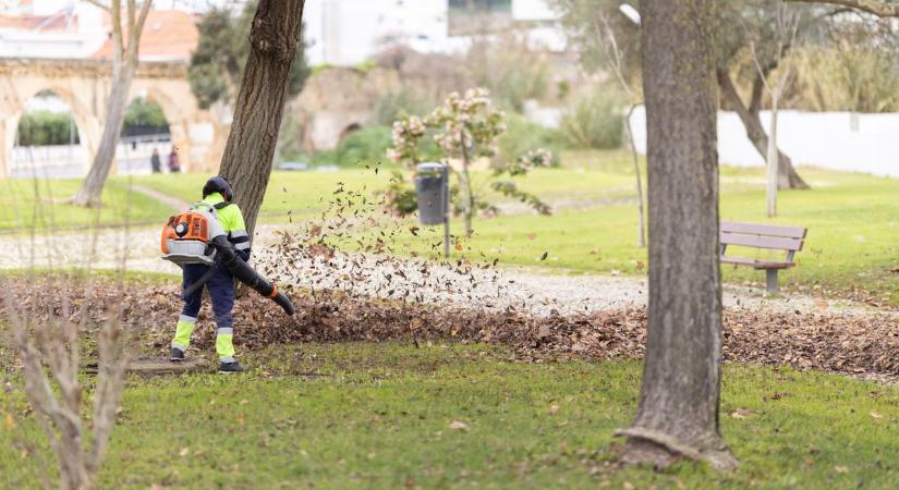 Kicsit szebb, kicsit zöldebb, és a miénk