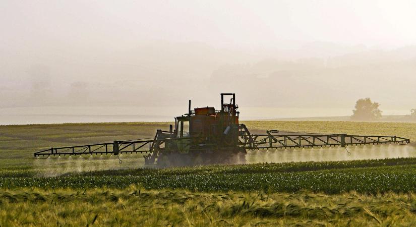 A sikeres tavaszi gyomkezelés záloga a jó időzítés