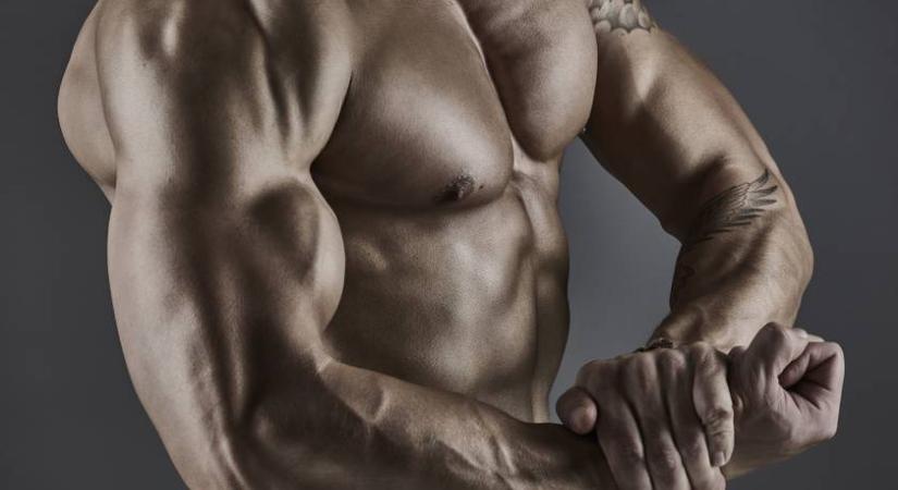 Alacsonyabb IQ, nárcisztikus személyiség: ezért alakulhattak ki az előítéletek a magyar testépítőkről