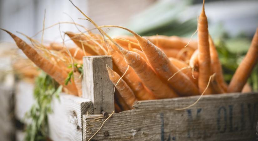Ötfajta rák kockázata jelentősen kisebb a vegetáriánusok esetében, mint a húsfogyasztóknál