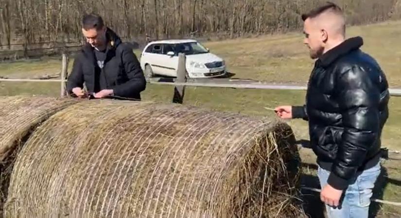 A rendőrség kijött, és nemzeti szalaggal lefoglalta a lómenhely szénabáláit