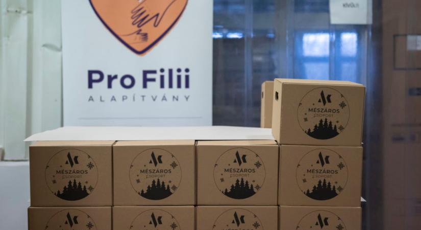 Több mint negyedmilliárd forinttal segíti a rászorulókat a Pro Filii Alapítvány