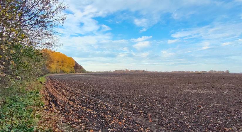 A száraz időben a felszínközeli talajréteg száradása, szikkadása várható