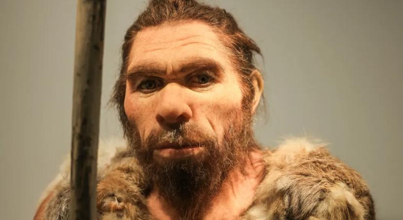 A neandervölgyi férfi szeretett összebújni ősanyáinkkal, a neandervölgyi nő viszont nem kereste a modern férfit