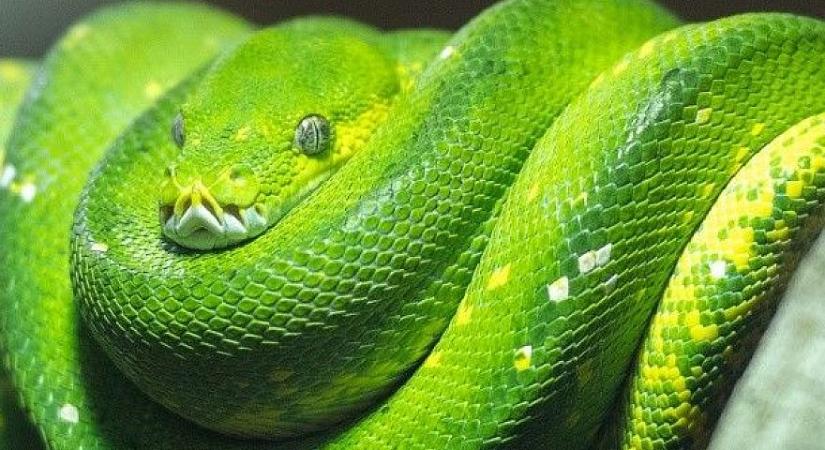 Univerzális Python bővítményt adott ki a Visual Studio Code-hoz a Microsoft