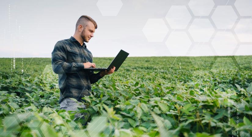 Adatból termés – robbanásszerűen felgyorsulhat a digitalizáció a földeken