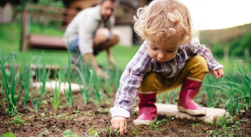 Ezeket a növényeket jobb elkerülni a kertben, mert vonzzák a kullancsokat