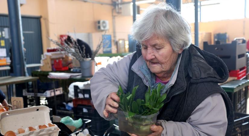 Vetkőzik a tavasz, öltöznek a pultok: medvehagyma illata és barkacsokrok a piacon