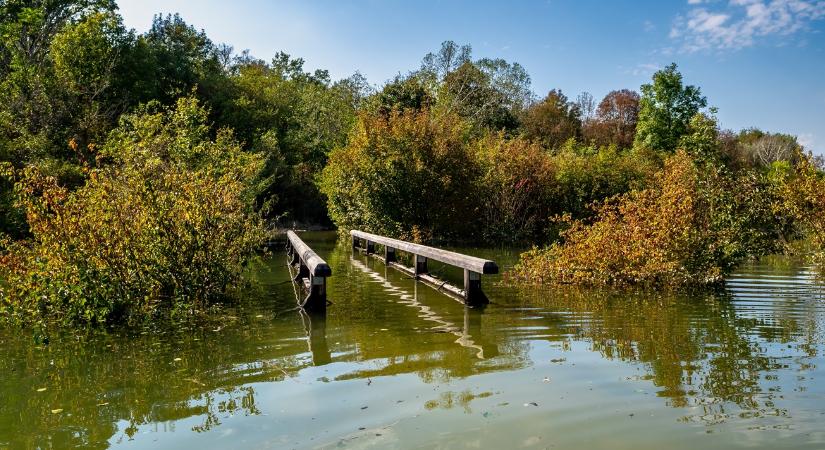 1 méter 1 nap alatt: mutatjuk, kell-e tartani az árvíztől a Dunán