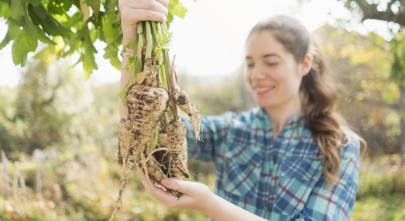 A februári sláger: 5 paszternákos étel, amitől újra divatba jön ez a régi zöldség